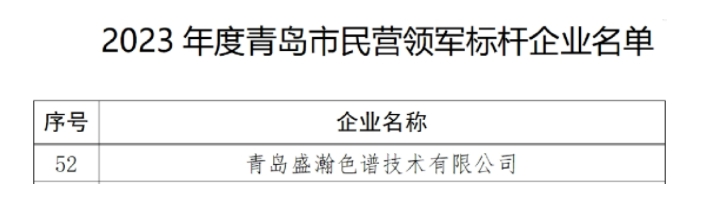 喜讯 | 盛瀚入选2023年度市民营领军标杆企业名单